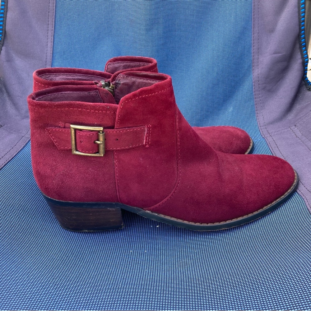 Steve Madden Burgundy Suede Ankle Booties